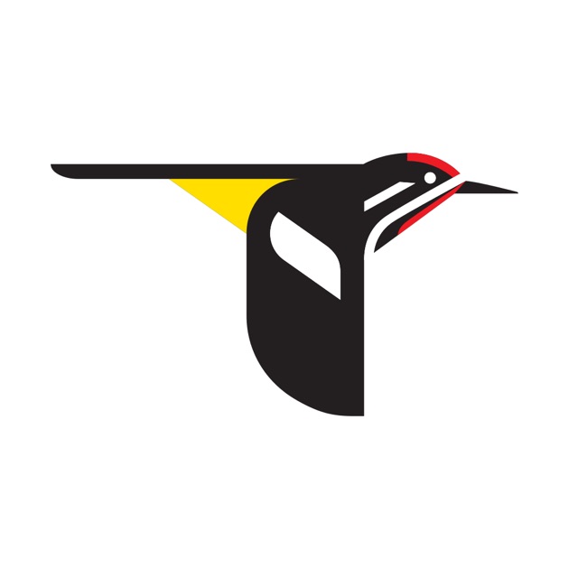 Merlin Bird ID's Logo